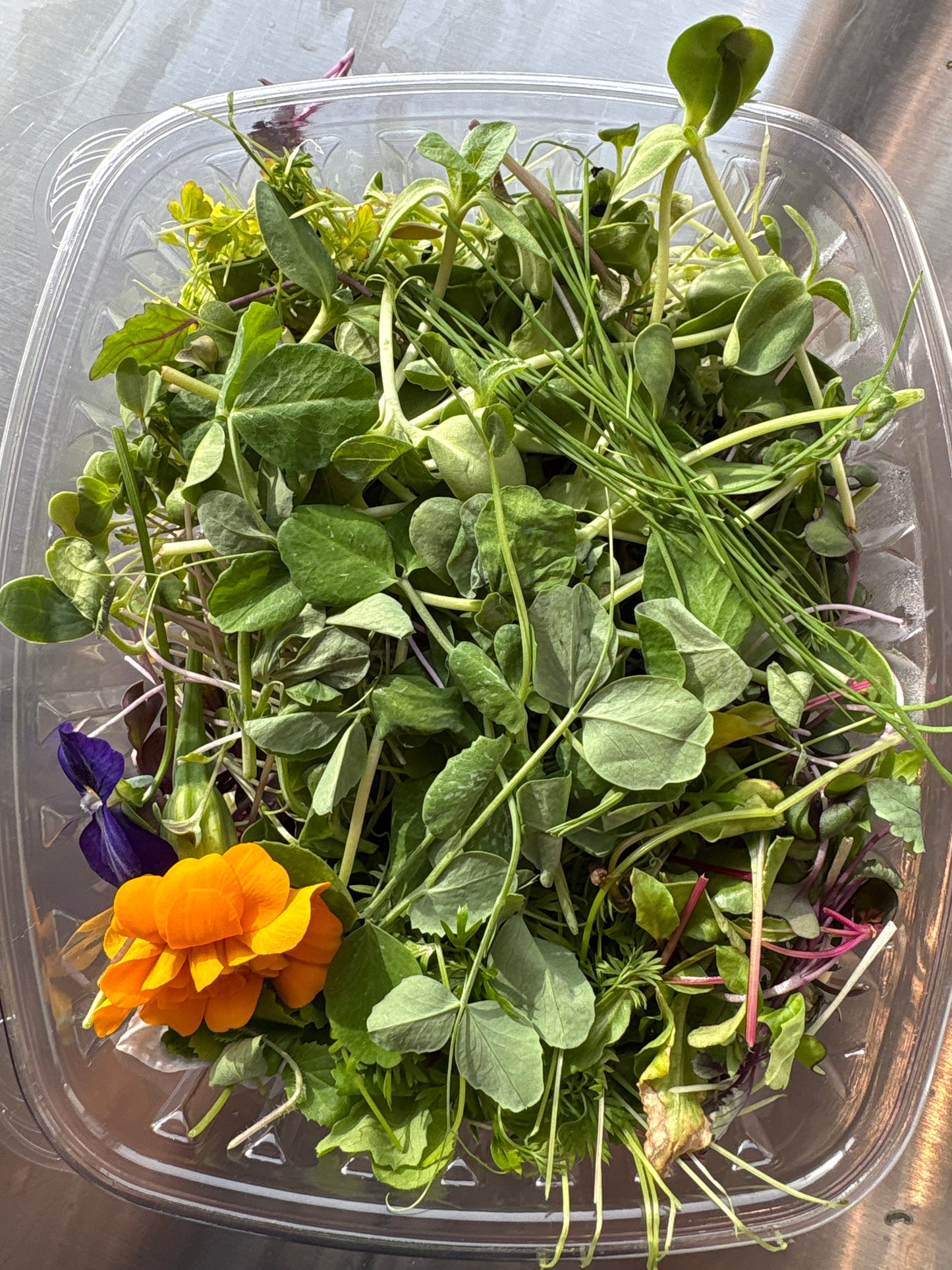 Local Leaf Sampler - Local Leaf Farm