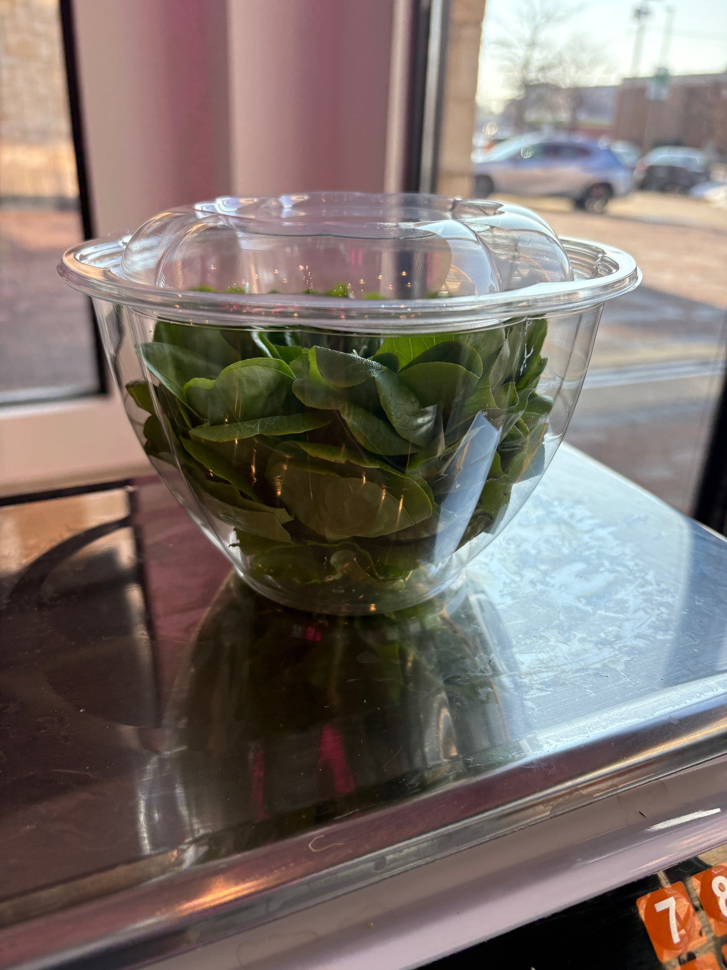 Butterhead Lettuce - Local Leaf Farm