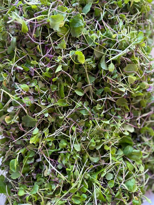 Vitality Blend - Local Leaf Farm
