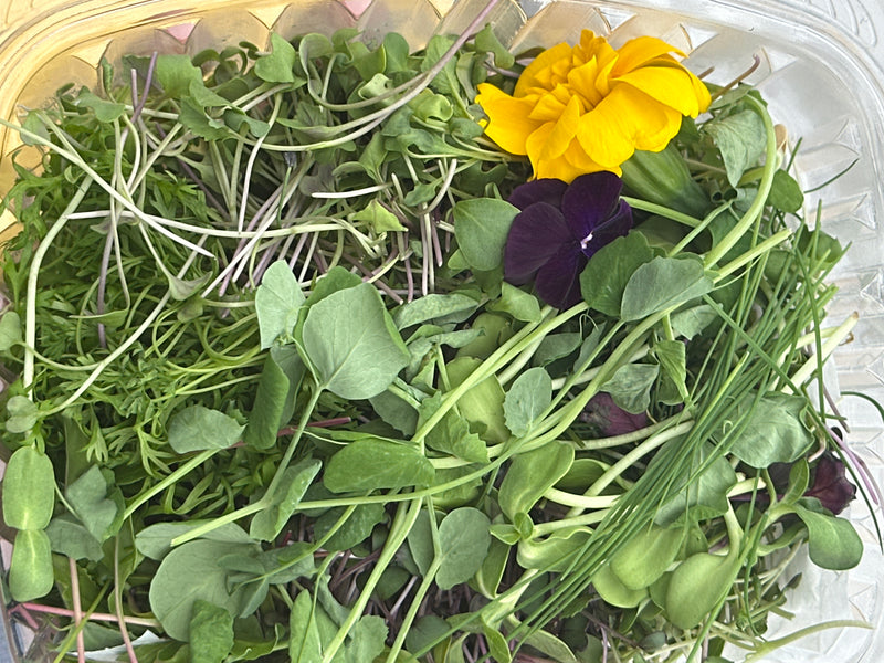 Microgreen Varieties - Local Leaf Farm