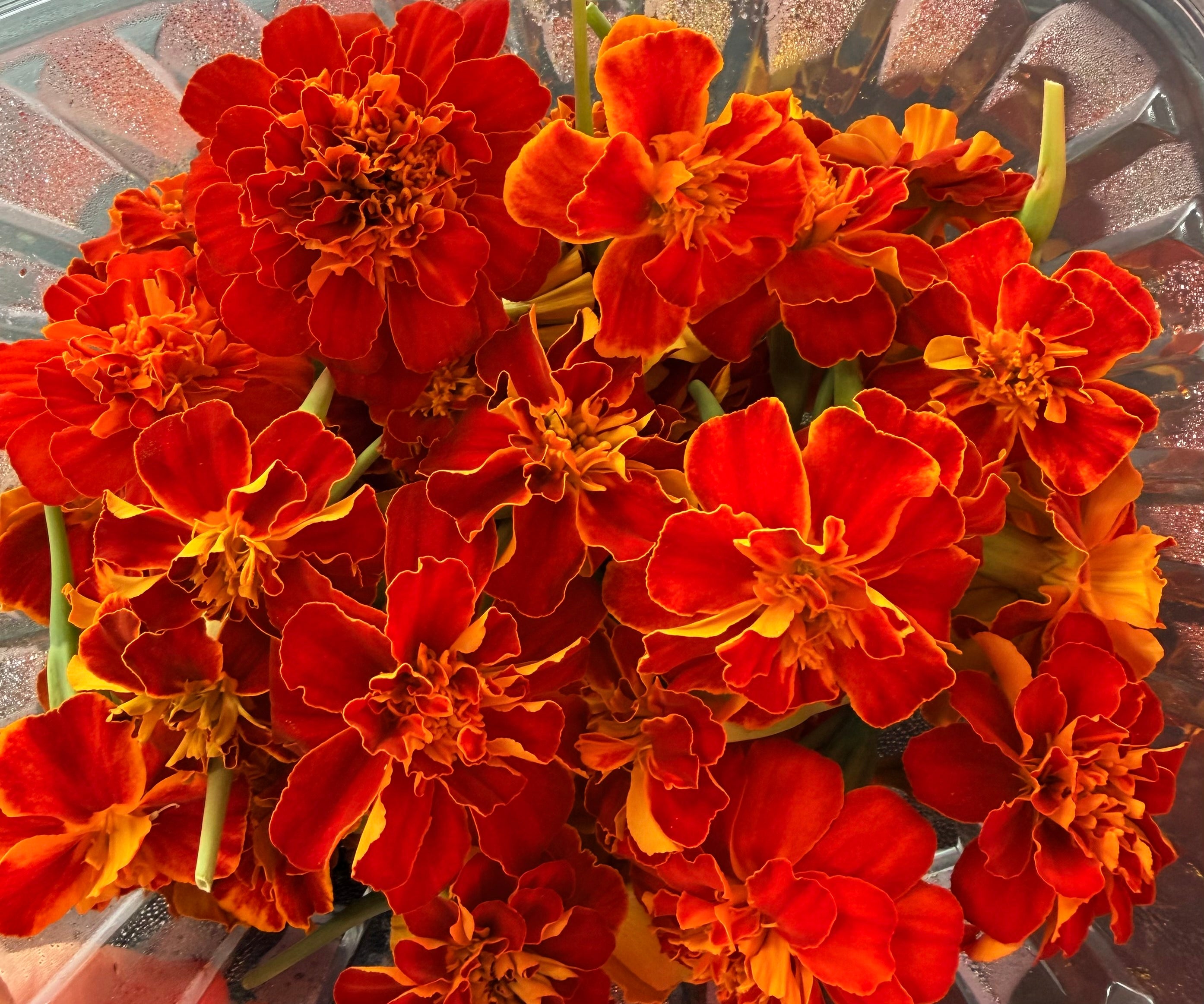 Edible Flowers - Local Leaf Farm