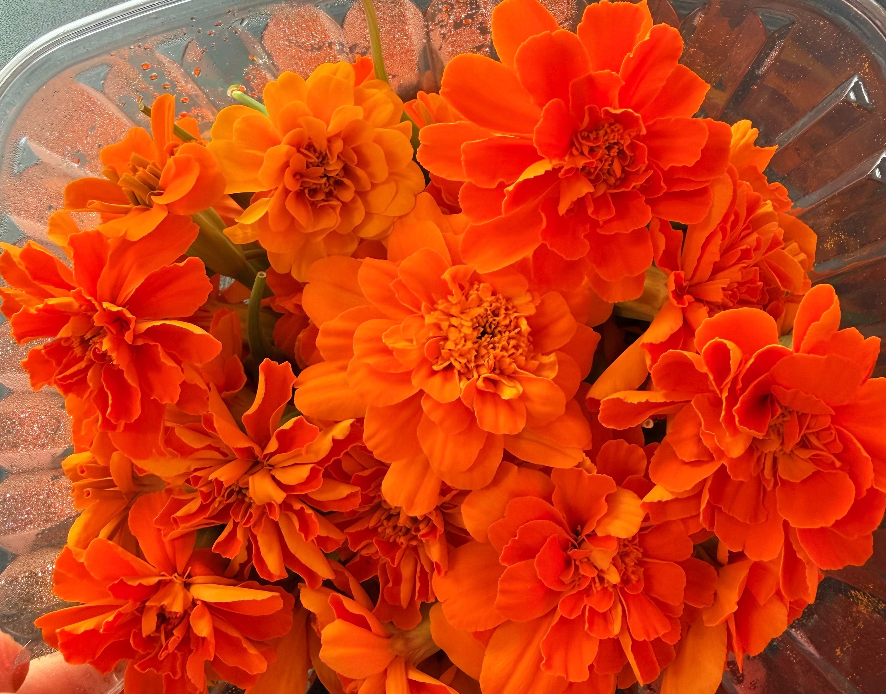 Edible Flowers - Local Leaf Farm