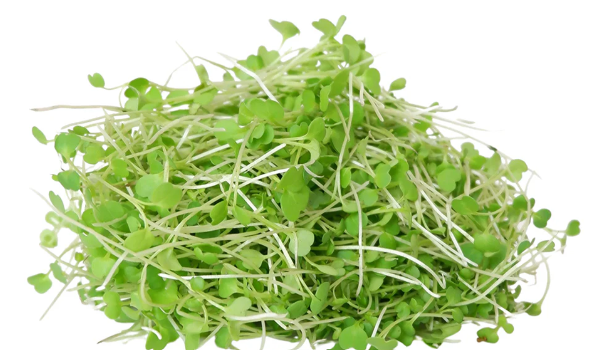 Pick your microgreen - Local Leaf Farm