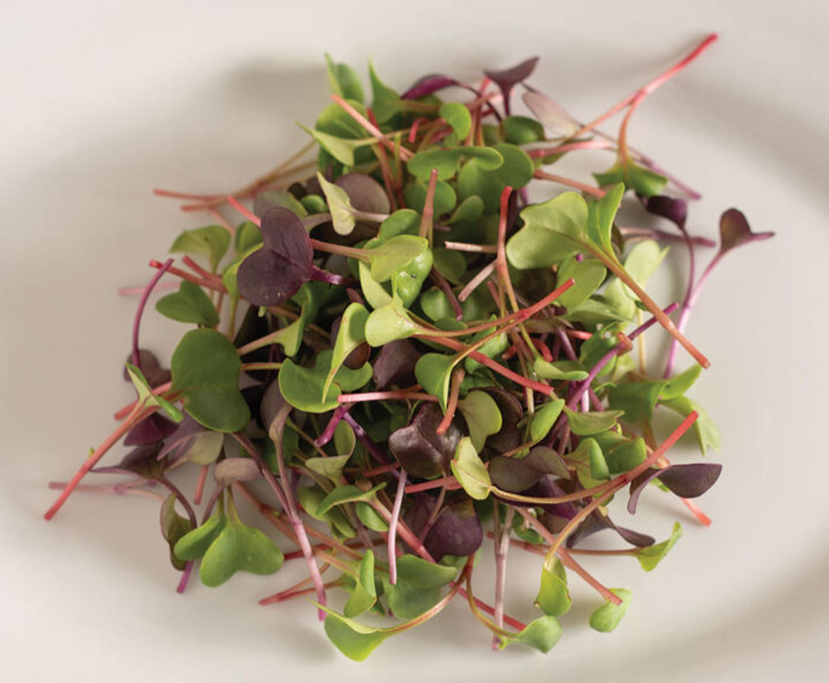 Pick your microgreen - Local Leaf Farm