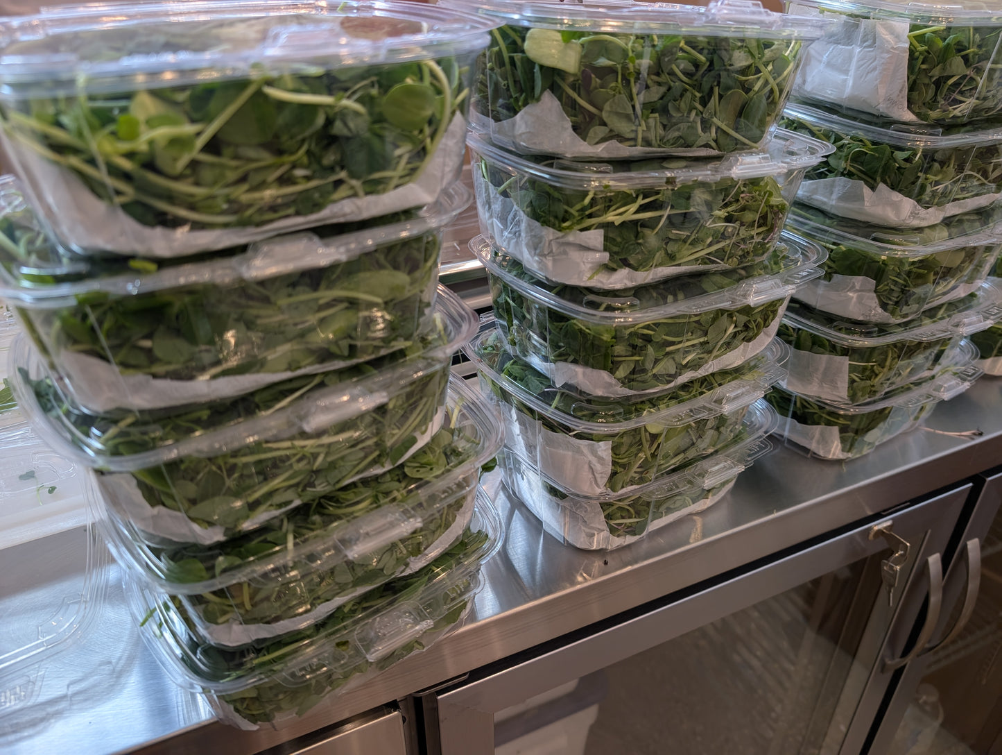 Best selling MicroGiant blend - Local Leaf Farm