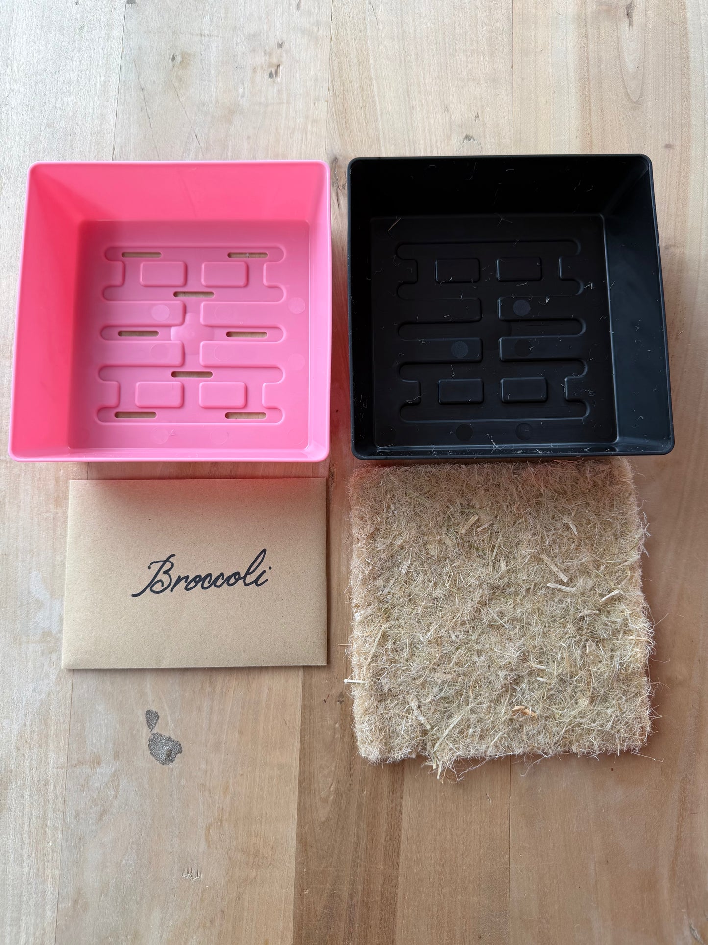 Grow Your Greens Kit