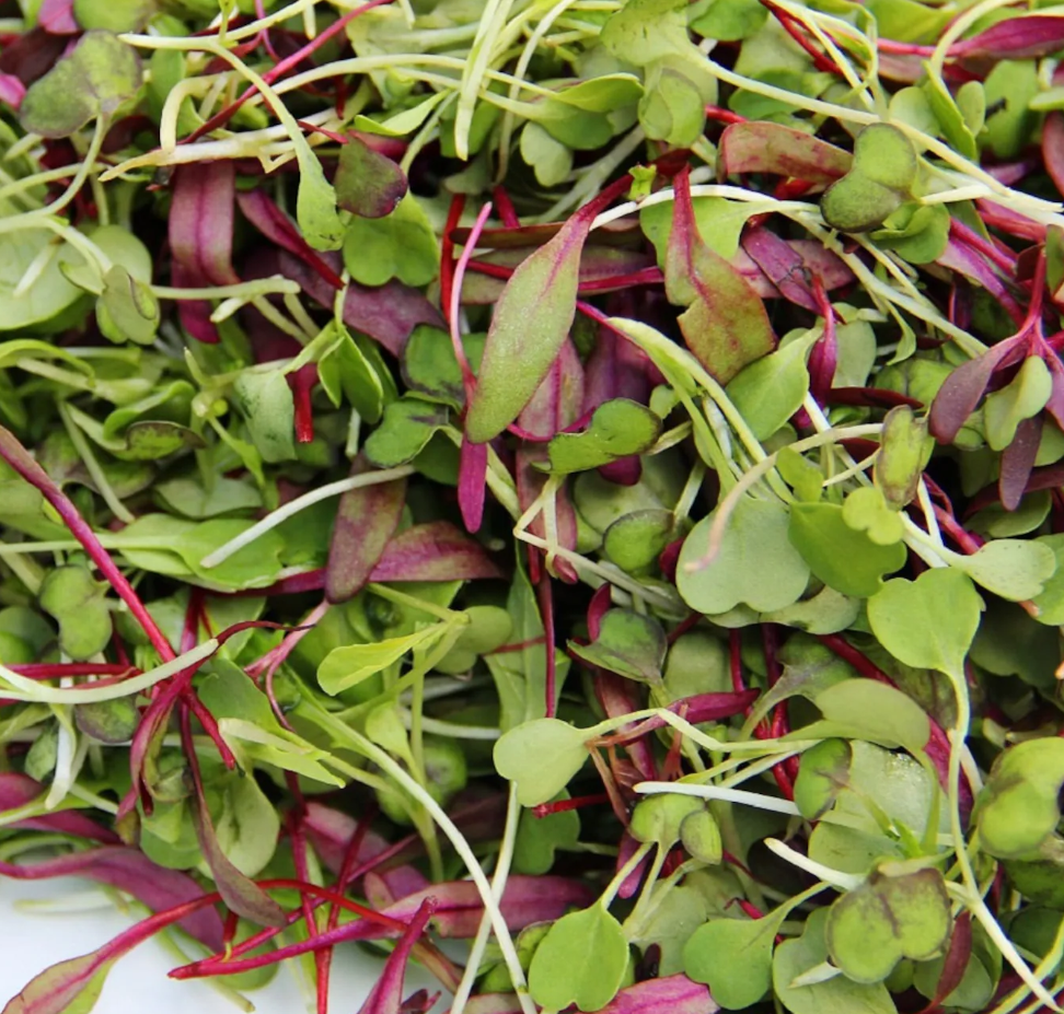 Spicy Salad - Local Leaf Farm